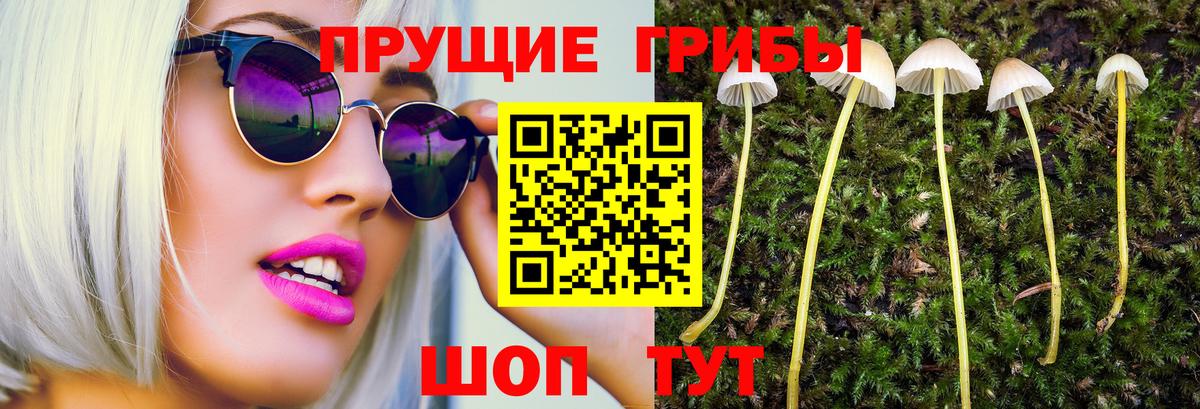 Псилоцибиновые грибы мухоморы Учалы