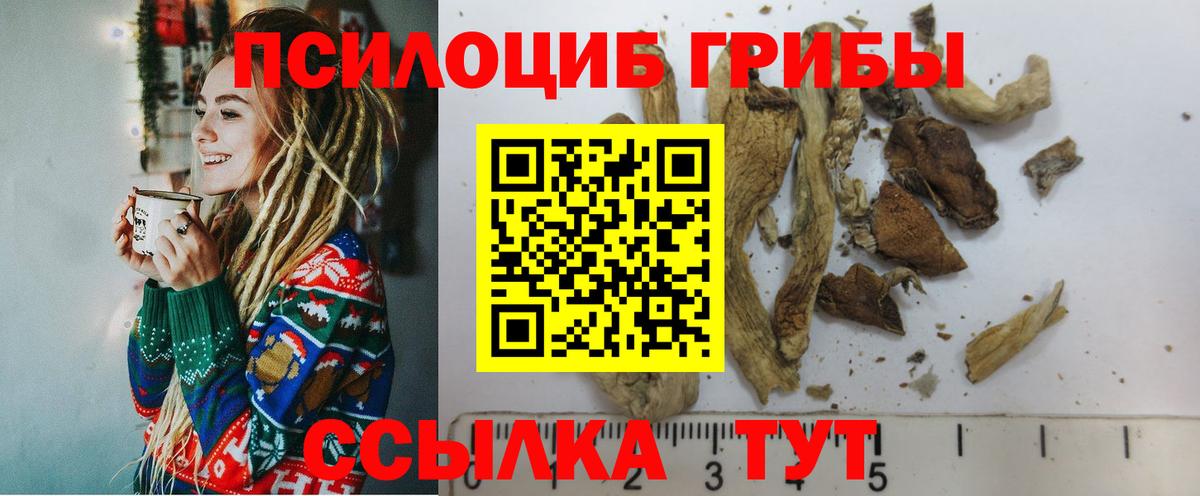 Учалы  Псилоцибиновые грибы мухоморы  Вход с VPN 
